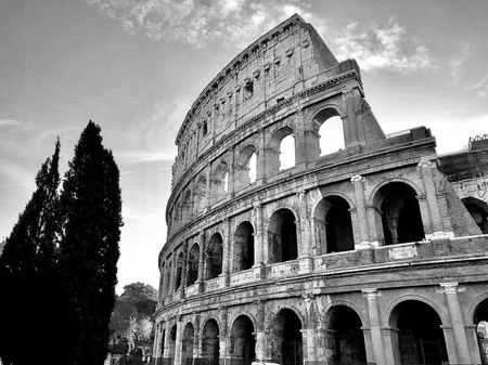 The Colosseum, Cypress Trees — photograph by Randy Polito