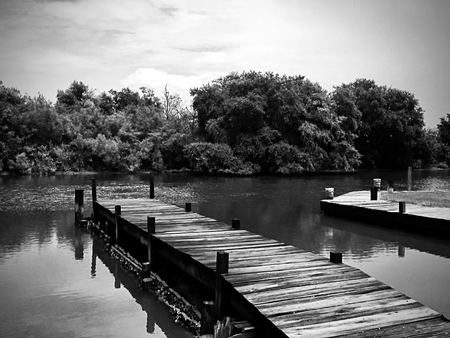 The Quiet Pier, Monochrome — photograph by Randy Polito