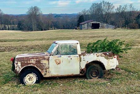 The Old Truck, Christmas Tree — photograph by Randall Polito