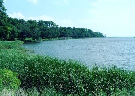 The Marsh Lake — photograph by Randall Polito