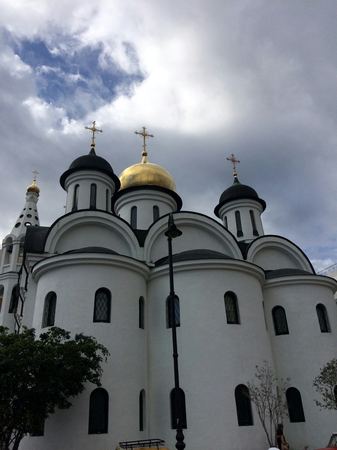 Orthodox Cathedral, Golden Domes — photograph by Randall Polito