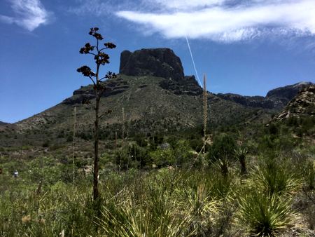 Mountain Peak, Agave Foreground — photograph by Randy Polito
