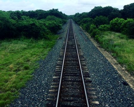 The Railroad, Green Corridor — photograph by Randall Polito