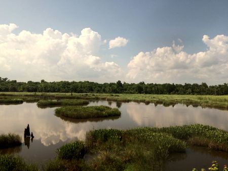 The Wetland, Cloud Reflection — photograph by Randy Polito