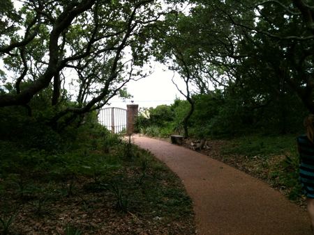 The Wooded Path — photograph by Randall Polito