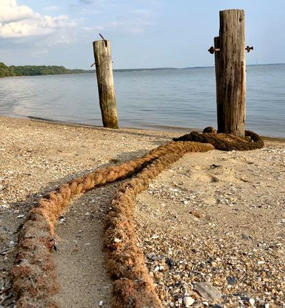 Mooring Rope, Coastal Sand — photograph by Randall Polito