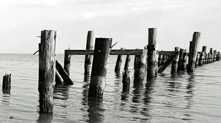 The Ruined Pier, Monochrome — photograph by Randall Polito